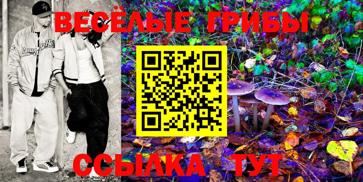 Псилоцибиновые грибы Magic Shrooms  Вход с VPN  Дмитров  Псилоцибиновые грибы Psilocybine cubensis 