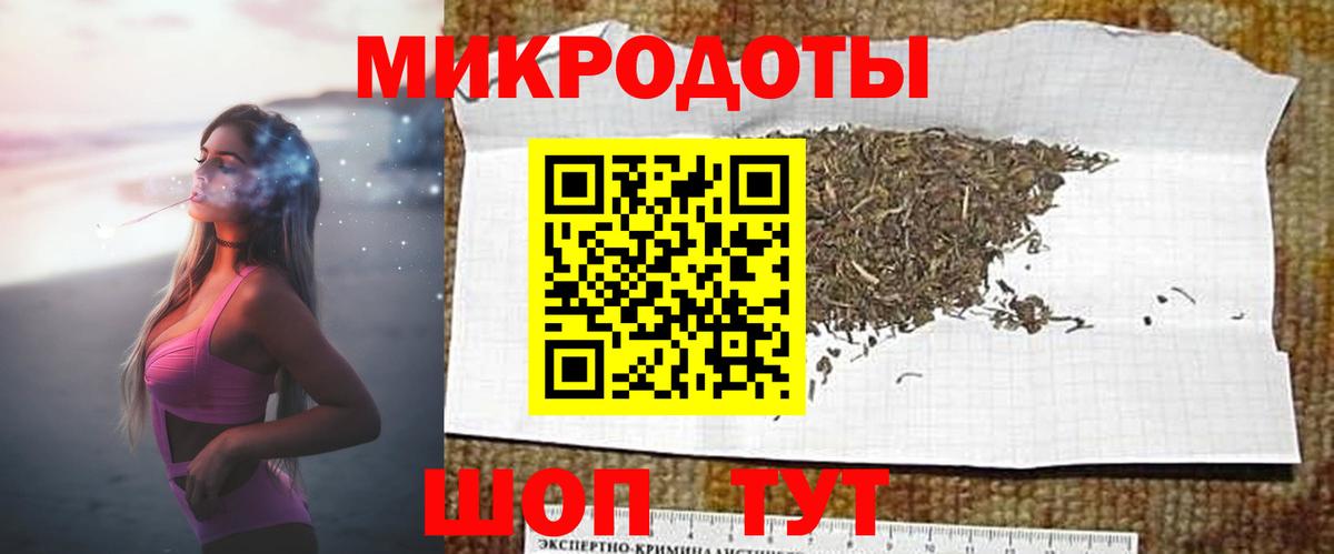 Псилоцибиновые грибы Psilocybine cubensis Дмитров